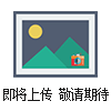 BX172BX172 便攜式氣體探測器